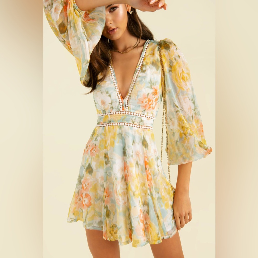 NWT Sundae Muse Stunning Floral Dress